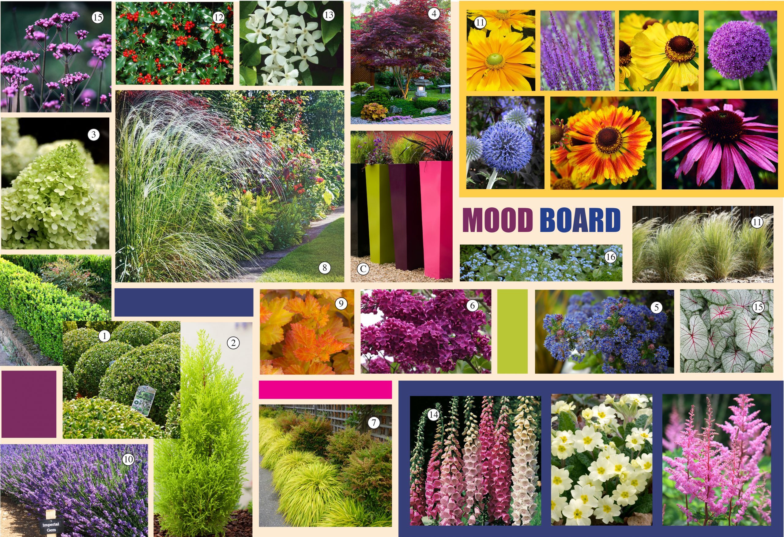 cropped-Contemporary-mood-board-plant-scaled-2.jpg